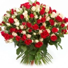 Ольга Тальнишных